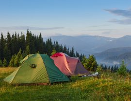 Tourist tents are in the green misty forest at the mountains.